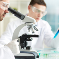 Clinical lab scientist using microscope