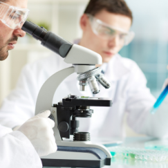Clinical lab scientist using microscope